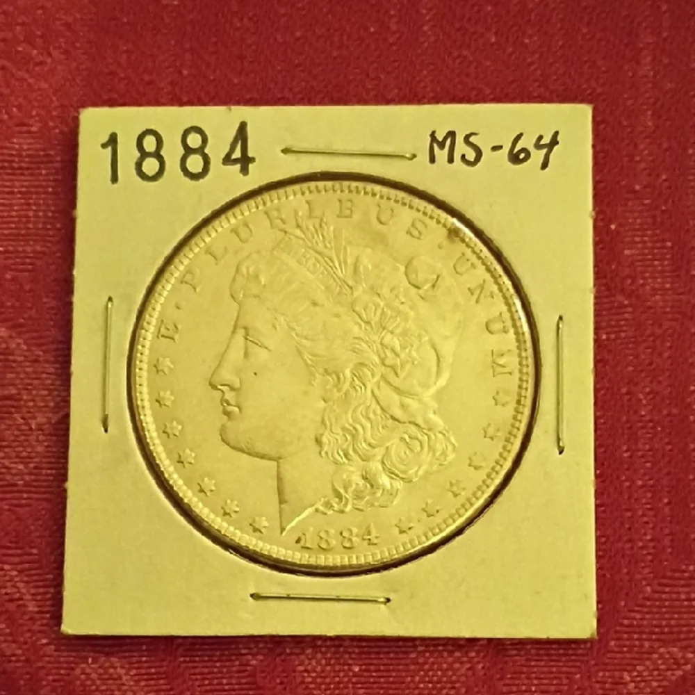 1884 Morgan Silver Dollar - Deep Strike Cameo w/ natural petina start